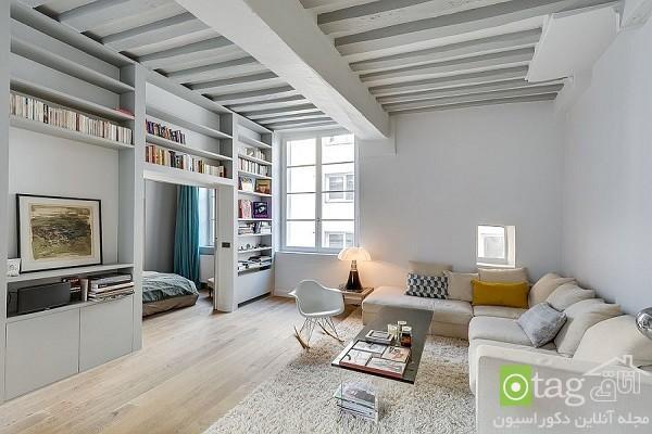 دکوراسیون داخلی آپارتمان کوچک با چیدمان کلاسیک و مدرن