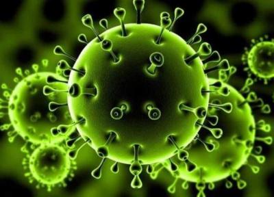 آخرین یافته ها از جهش ویروس کرونا در ایران