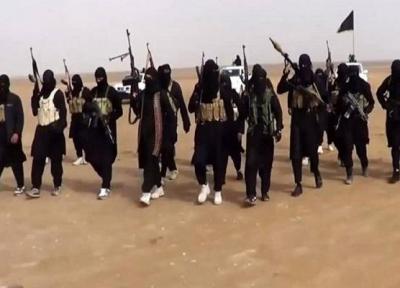 چگونه داعش از توئیتر برای اهداف شوم خود بهره گرفت؟