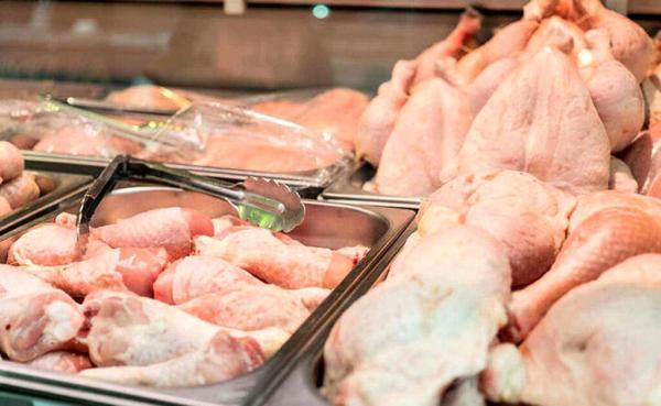 قیمت هر کیلو مرغ زنده به 50 هزار تومان رسید ، فروش مرغ به چه قیمتی گرانفروشی است؟
