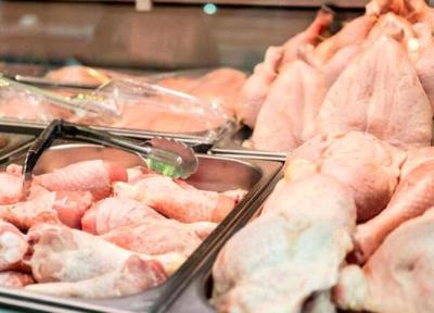 قیمت هر کیلو مرغ زنده به 50 هزار تومان رسید ، فروش مرغ به چه قیمتی گرانفروشی است؟